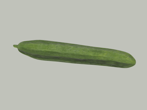 Long Cucumber Modello 3D