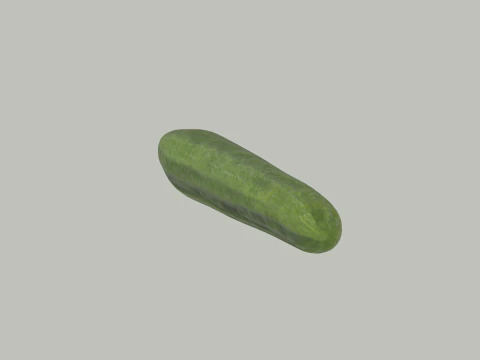 Long Cucumber 3D Model