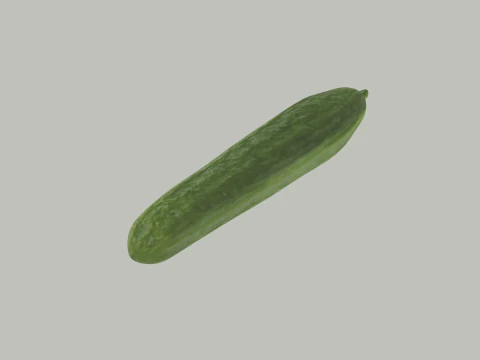 Long Cucumber 3D Model