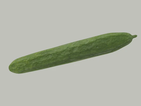 Long Cucumber 3D Model