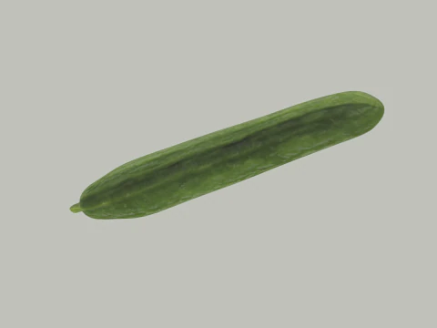 Long Cucumber 3D Model