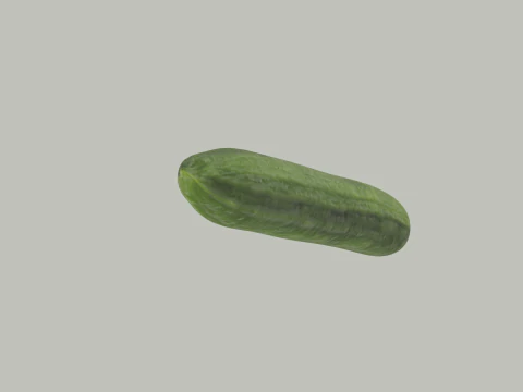 Long Cucumber 3D Model