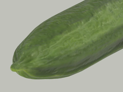 Long Cucumber 3D Model