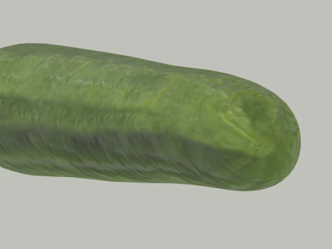 Long Cucumber 3D Model