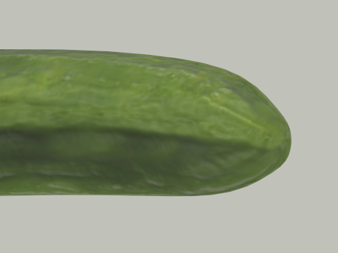 Long Cucumber 3D Модель