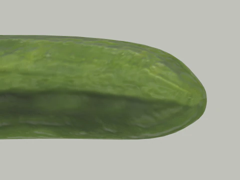 Long Cucumber 3D Model