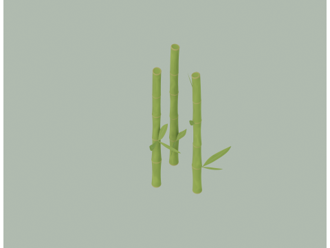 Bamboe 3D Model