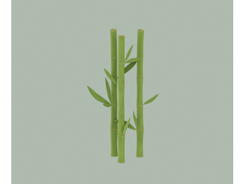 Bamboe 3D Model