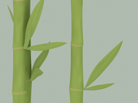 Bamboe 3D Model