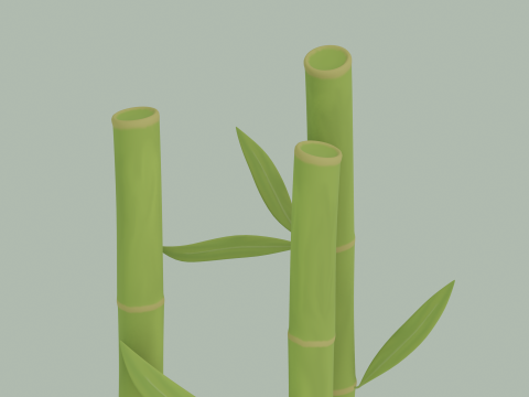 Bamboe 3D Model