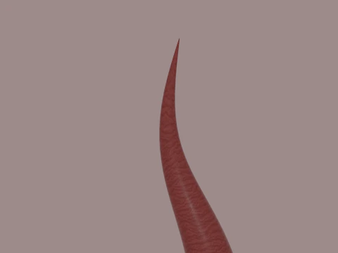 Devils Horns 3D Model