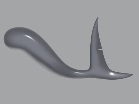 Shark Tail 3D मॉडल