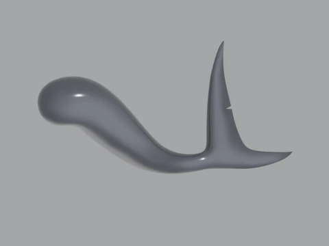 Shark Tail 3D Model