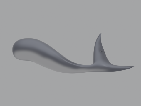Shark Tail 3D मॉडल