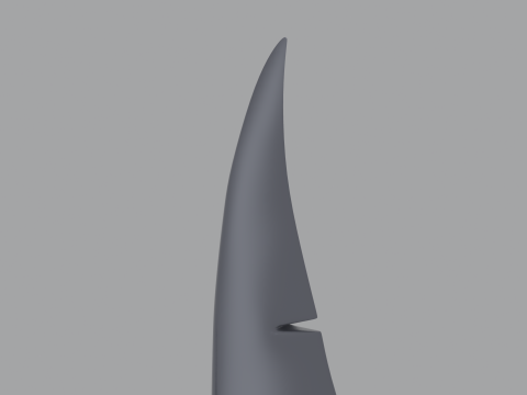 Shark Tail 3D मॉडल