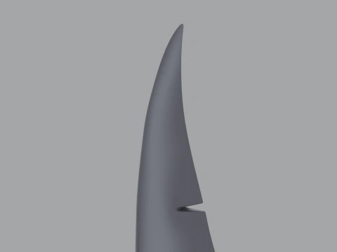Shark Tail 3D Model
