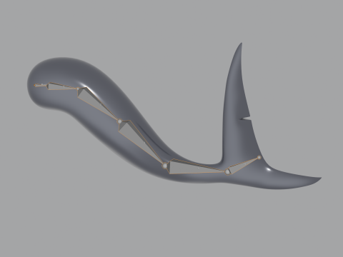 Shark Tail 3D मॉडल