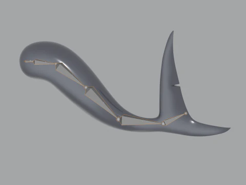 Shark Tail 3D Model