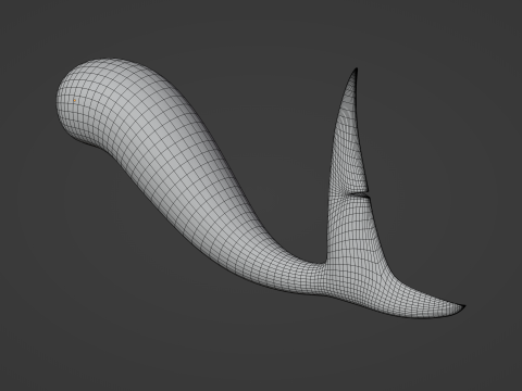 Shark Tail 3D मॉडल