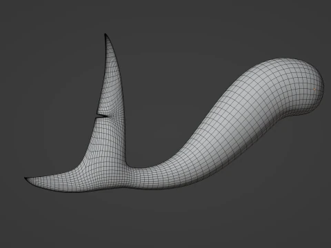Shark Tail 3D Model