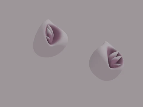 Orecchie di gatto Modello 3D