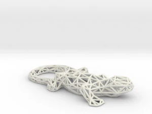 lizard 3D Print Model