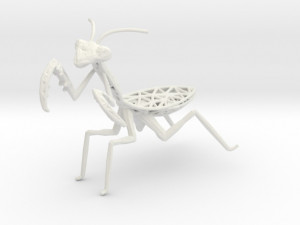 praying mantis 3D 프린트 모델