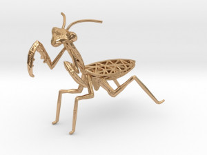 praying mantis 3D 프린트 모델