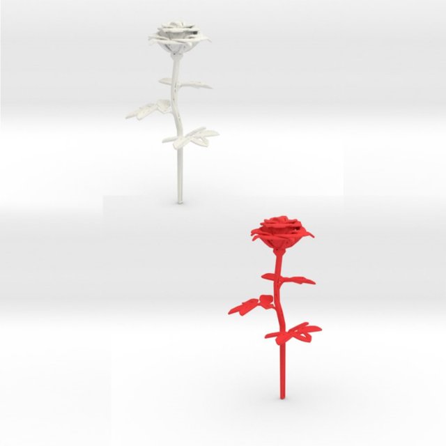 rose single stick 3D 打印模型 .c4d .max .obj .3ds .fbx .stl .blend 