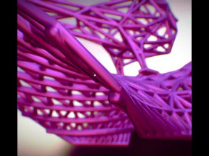 cardinal bird 3D Print Model