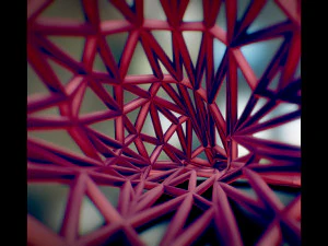 アシカ 3Dプリントモデル