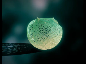 spherical leaf lampshed small 3D Print Model