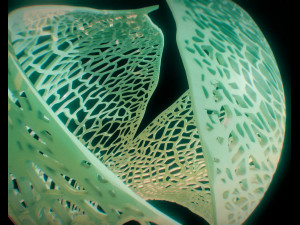 spherical leaf lampshed small 3D 打印模型