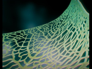 spherical leaf lampshed small 3D 打印模型