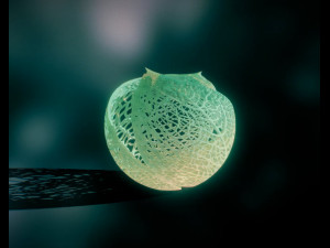 spherical leaf lampshed small 3D 打印模型