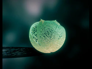 spherical leaf lampshed small 3D Print Model
