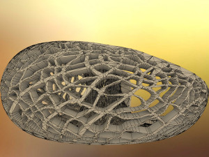 leafy torus lampshed Modello di stampa 3D