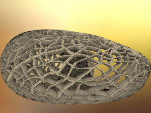 leafy torus lampshed 3D Print Model