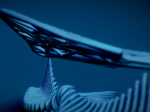 sting ray 3D Print Model