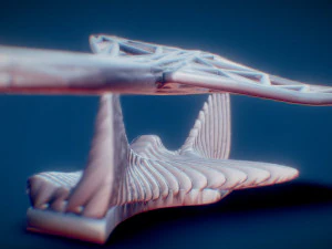 sting ray 3D Print Model