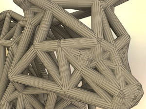 racoon Modello di stampa 3D