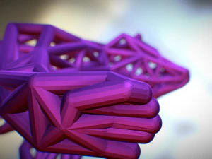 racoon 3D Print Model