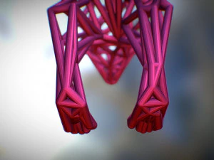 racoon 3D Print Model