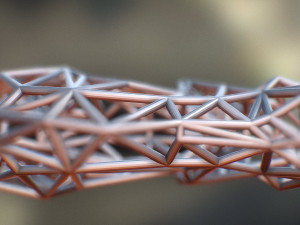 racoon Modello di stampa 3D