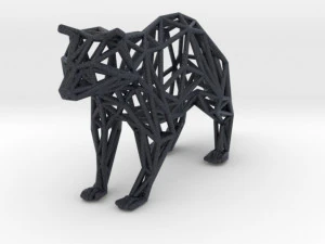 racoon 3D Print Model