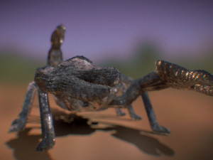 scorpion 3D Print Model