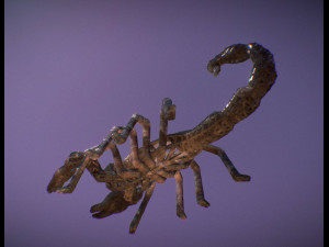 scorpion 3D Print Model