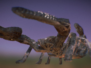 scorpion 3D Print Model