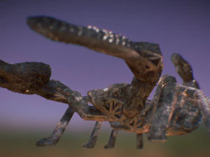 scorpion 3D Print Model