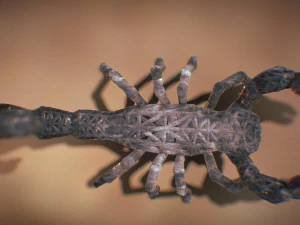 scorpion 3D Print Model